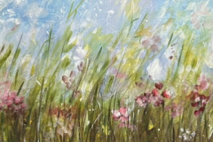 ANGIE-CAMPOY-Campo Florido 