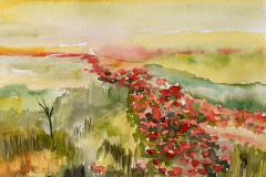 ANGIE-CAMPOY-Campo de amapolas 