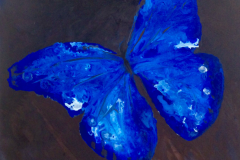 ANGIE-CAMPOY-Morfo-azul