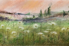 ANGIE-CAMPOY-Paisaje