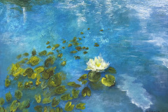 ANGIE-CAMPOY-Lago de Nenufares